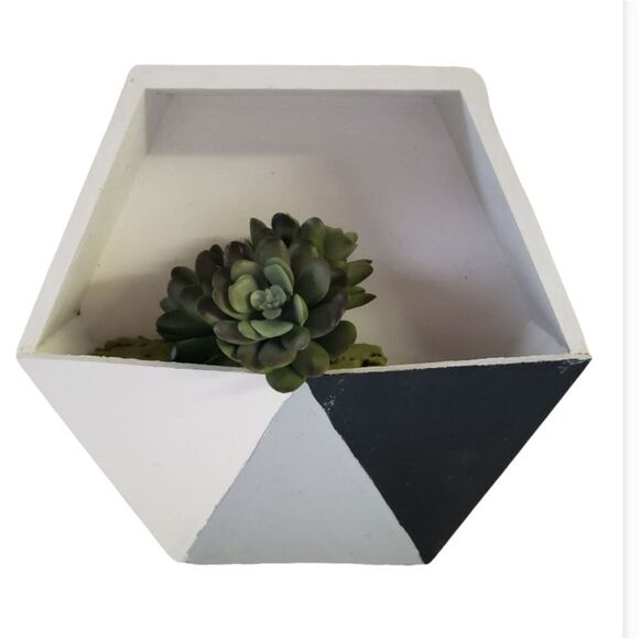 Handpainted Decorative Box w/Succulent - Picture 1 of 7